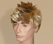 Billy Idol Wig