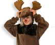 Christmas Reindeer