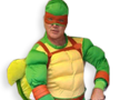 Teenage Mutant Ninja Turtle