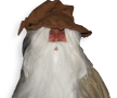 Gandalf