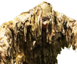 Shrub