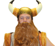 Viking