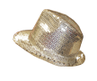 Silver Fedora