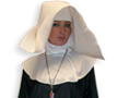 Flying Nun