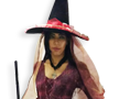 Hocus Pocus Witch